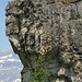 Es gab auch Kletterer die schwierigere Routen kletterten :-)