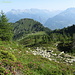Dal canale vista verso Cadolcia e l'Alpe di Cadinello,punto di partenza della gita.