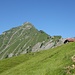 Alp Oberniese mit Fromberghorn