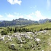 Versuch Panoramabild.