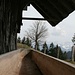 langer Brunnentrog- Ausblick auf der Alp bei Höchänzi