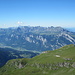 Alviergruppe in der Nachmittagssonne