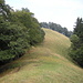 Wanderung Brandegg 1230m - Dürrspitz 1243m