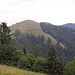 Wanderung Brandegg 1230m - Dürrspitz 1243m