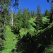 In schönen Serpentinen durch Wald und Wiesen geht es hoch.<br /><br />In belle curve il sentiero conduce in alto attraverso prati e bosco.