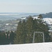 Noch zu wenig Schnee zum Skifahren. Blick auf Wald und den Bachtel (1115m) beim Aufstieg zum Hof Farner.