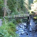 Schluchtenweg Clemgia zwischen Scuol und Plan da Funtanas Richtung Val S-charl.
