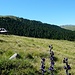 Alp Tamangur Dadora (2127m)