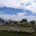 L dei Matörgn
