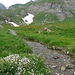 Garzonera