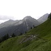 In Aufstieg am linken Rand des Eisbruggbach ,Weißwand 2537m,gegenuber.
