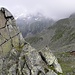 Edelrauthutte,2545m,in Aufstieg zur Napfspitze,2888m ausgesehen.