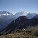 Bel Oiseau dominé par le Mont Blanc