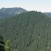 Blick zum vollständig bewaldeten Filzenkogel, dahinter der Hirschberg