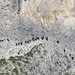 Zoom auf den Pisciadu Klettersteig...