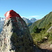 Impressionen des weiteren Aufstiegs: links vom Markierungsfleck der Ochsner (3107m), rechts hinten der Große Greiner (3201m)