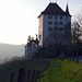 Schloss Heidegg 551m