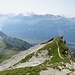zusätzlich ein riesiger Schwarm Bergdohlen