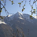 Pizzo di Vogorno (2442 m) - ihn haben wir uns für unsere nächsten Tessiner Ferien (Ende Juni 2009...) vorgenommen