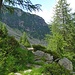 Wegstück am Sentiero Alpino Calanca