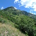 Blick zurück zu den Südabstürzen des Monte Saccarello