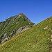 Etwas oberhalb der Alp Oberniesen sieht man das Gipfelziel mit seinem langen SE-Grat.