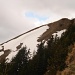 Steinböcke auf dem Gipfel (Suchbild)