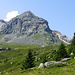 kurz oberhalb Alp Tschegn Dadens Sut