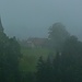Sternenberg -man mag es erahnen- vor grauem Hintergrund
