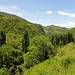 Tal des Riu del Canto mit Blick auf Tornafort auf dem Hügel. 