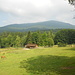 Wildpark dahinter der Falkenstein