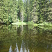 Weiher bei der Höllbachschwelle