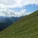 Schafherden vor westlichem Alpstein