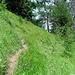 Oberhalb des Maierkaser geht es durch grünen Wald aufwärts.