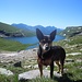 Suni al Lago del Busin Inf.