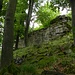 Ruine Hirschstein am 6. Juli mit zwei Drahteseln