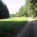 Mal am Waldrand führt der Weg weiter nach Reichertshausen