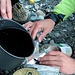 Not macht erfinderisch: Wie man mit Hilfe einer Redbulldose Tee in eine Petflasche abfüllt. 