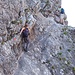 Ein Bild von Andrea: Sven und Maxl in der schwierigsten Stelle des Aufstiegs zur Lichtspitze. Rutschig, hier und da sogar versichert, moderat ausgesetzt...