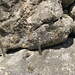 Sicherung eines Felsklotzes auf dem Grat