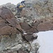zweite Kletterstelle im NE-Grat - die Schlüsselstelle des Abstiegs, gleich danach gelangen wir auf die Reste des Schneegrates