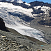 Glacier de Ferpècle mit den Bouquetins