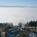 Alpenpanorama und Nebelmeer - die einzigartige Aussicht vom Bachtelturm. Rechts am Bildrand ist das Triangulationsdreick (P.1109,0m) halb versteckt hinter einem Baum zu erkennen, der Bachtel ist ein Vermessungspunkt der Schweiz von Zweiter Ordnung.