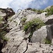 Die Felsstufe zum Palisnideri-Sattel