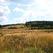 Landschaft am Konopáč (Hanfkuchen)