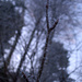Winterliche Natur (Foto [U sglider])