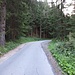 Straße zur Ehrwalder Alm