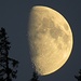 Der Mond bei der Jägerhütte<br /><br />La luna alla Jägerhütte