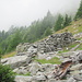 Ruine der oberen Alp de Gagela