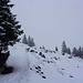 Foto von 1. Besteigungsversuch und vom HIKR-Treff 23./24.10.2010:<br /><br />Am nächsten Morgen hat auf der Bannalp erneut Schneefall eingesetzt! Der Winter 2010/2011 ist da...